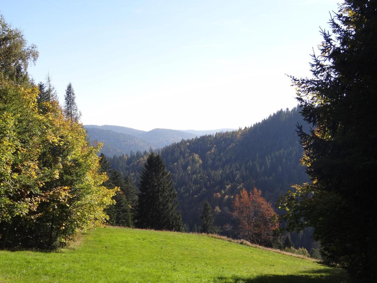 Apartments Amalia - Mit Wlan Und Sky In Traumhafter Lage Todtmoos Exterior foto